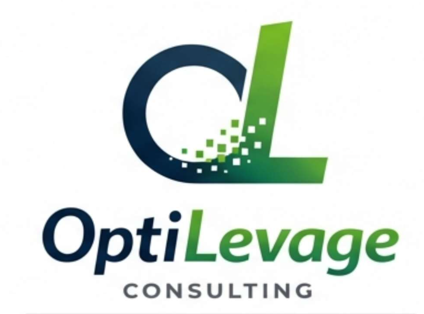 OptiLevage Consulting