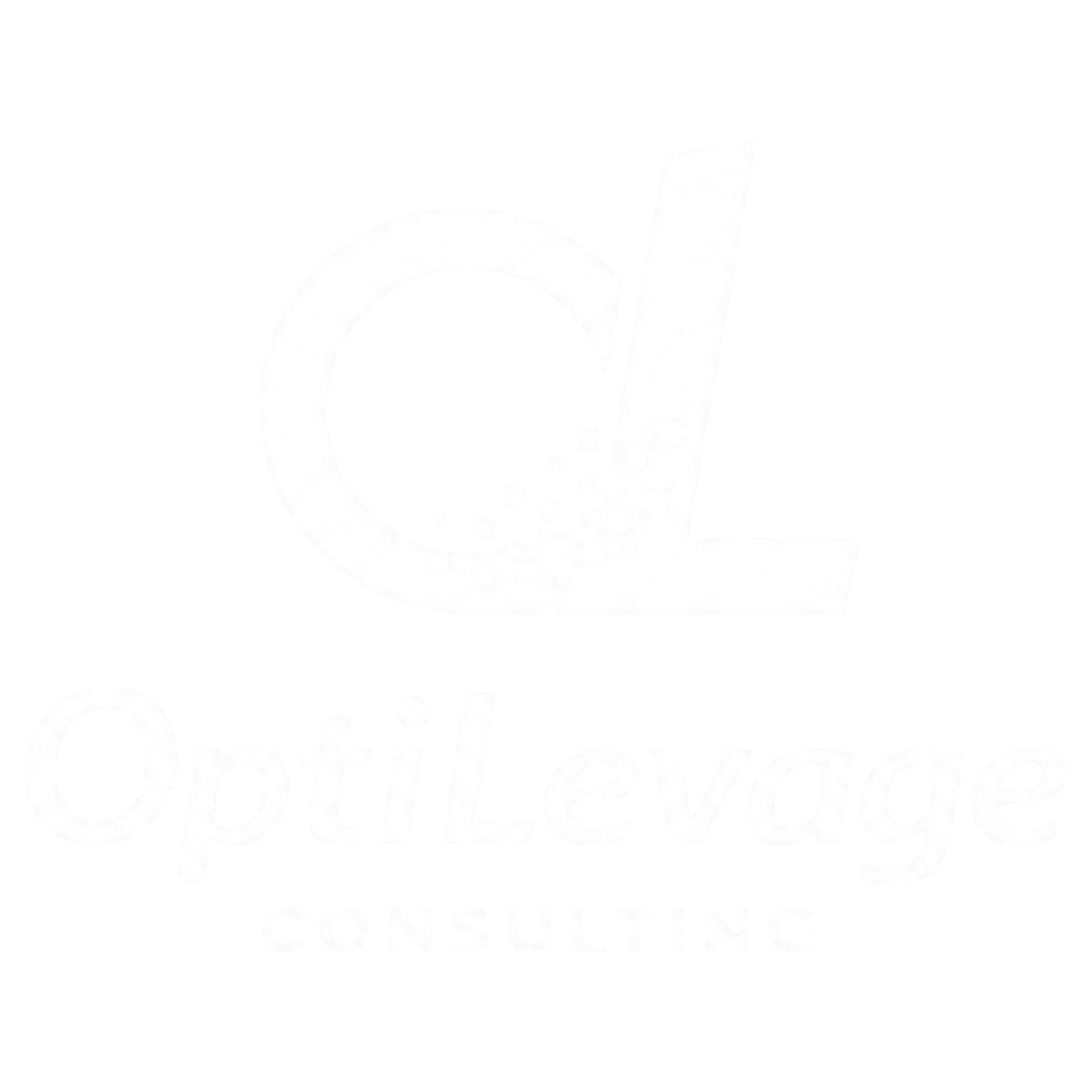 OptiLevage Consulting